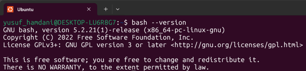 bash version command